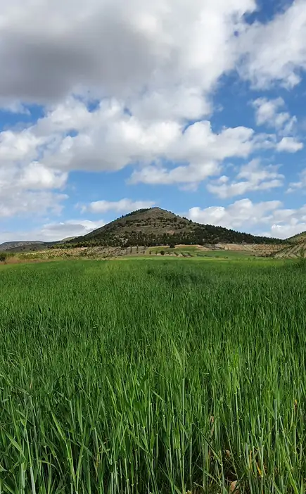 Beautiful landscape in Almeria